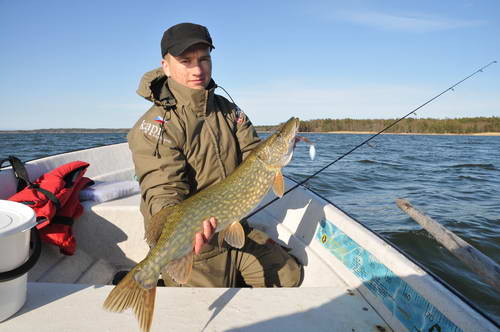 stika 82 cm, kveten stika 82 cm, kveten