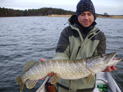 stika 97 cm, kveten stika 97 cm, kveten