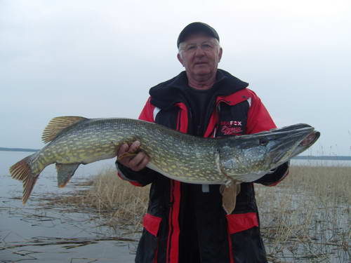 stika 116 cm, 15 kg, ulovil Jirka Kahoun 13.5. v Nordqvist stika 116 cm, 15 kg, ulovil Jirka Kahoun 13.5. v Nordqvist