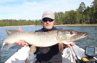 stika 81 cm, cerven stika 81 cm, cerven