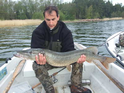 kvetnove stiky z Nordqvist kvetnove stiky z Nordqvist