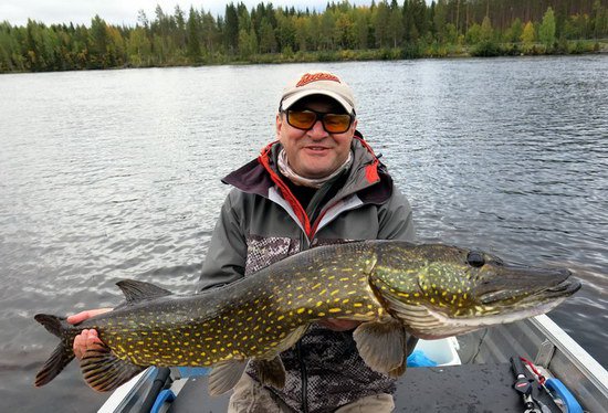 stika 110 cm, zari v Lesjon stika 110 cm, zari v Lesjon