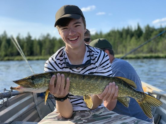 Stika z Lesjonu Stika z Lesjonu