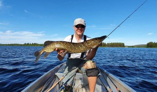Stika z Lesjon ulovena na privlac Stika z Lesjon ulovena na privlac