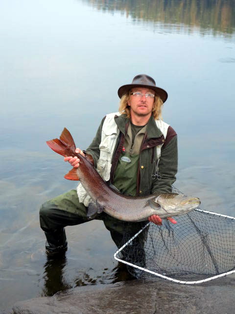 tajmen 120 cm tajmen 120 cm