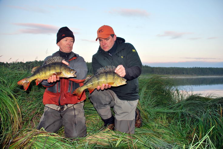 okouni 48 cm uloveni na musku - streamer