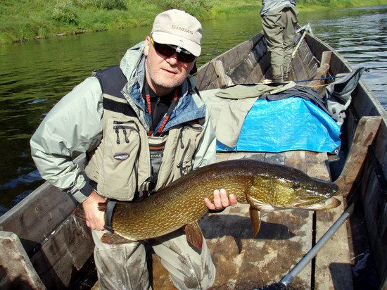 Petova stika 116 cm ulovena na musku - streamer