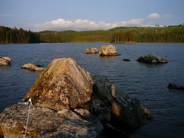 Holm - jezero Navarn Holm - jezero Navarn