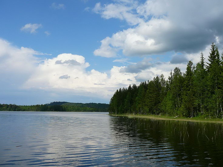 Holm - jedno z lesnich jezer