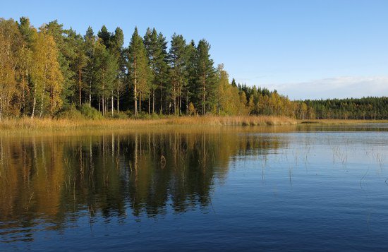 podzim v reviru Holm