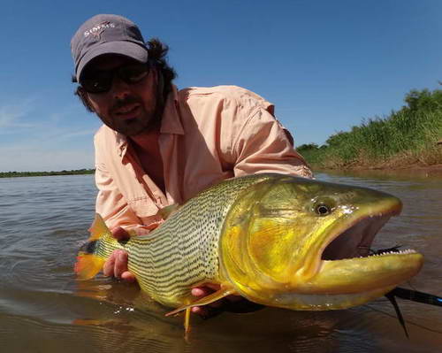 dorado neboli cesky "kujaba"