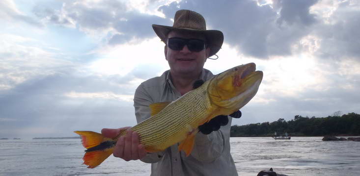 dorado delky 57 cm