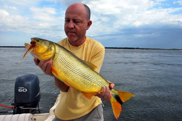 dorado delky 63 cm