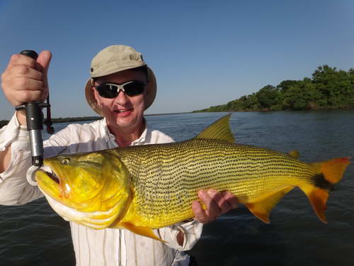 dorado 82 cm dorado 82 cm