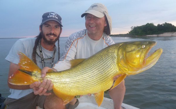 kujaba - dorado 90 cm ulovene na privlac kujaba - dorado 90 cm ulovene na privlac