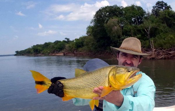 dorado z reky Parana