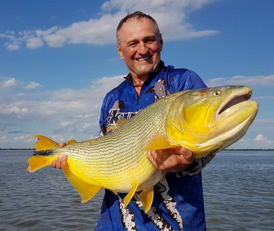15 kg zlateho stesti z reky Parana 15 kg zlateho stesti z reky Parana