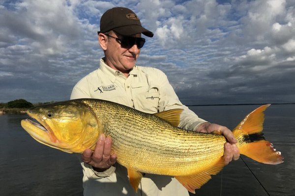lednove dorado ulovene na musku-streamer lednove dorado ulovene na musku-streamer