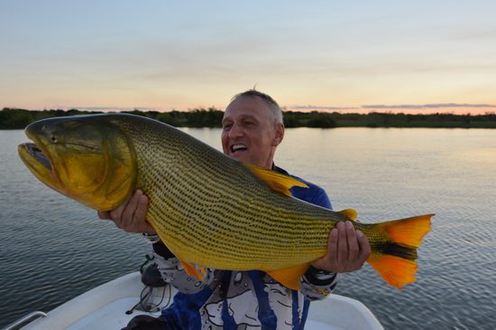 dorado z reky Parana - konecne pres metr