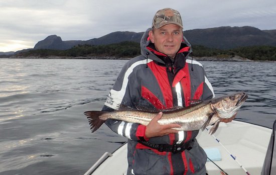 stikozubec 96 cm, zari v Tingvollfjordu stikozubec 96 cm, zari v Tingvollfjordu