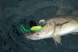 Lov na velky jig 300 g Lov na velky jig 300 g