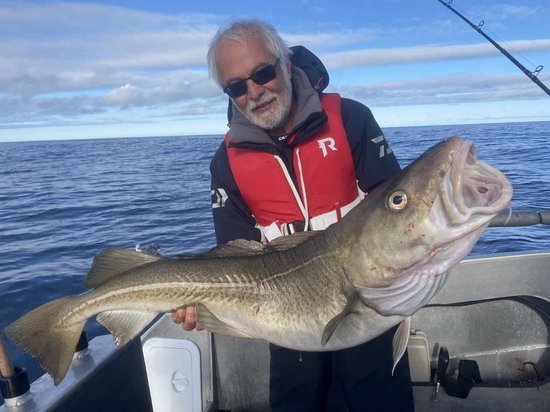 Treska 103 cm z pobřeží ostrova Soroya Treska 103 cm z pobřeží ostrova Soroya