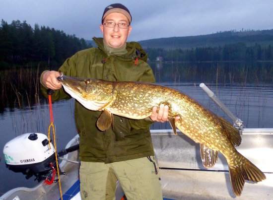 stika 113 cm ulovena na wobbler na prutocnem jezere v Helesjo stika 113 cm ulovena na wobbler na prutocnem jezere v Helesjo