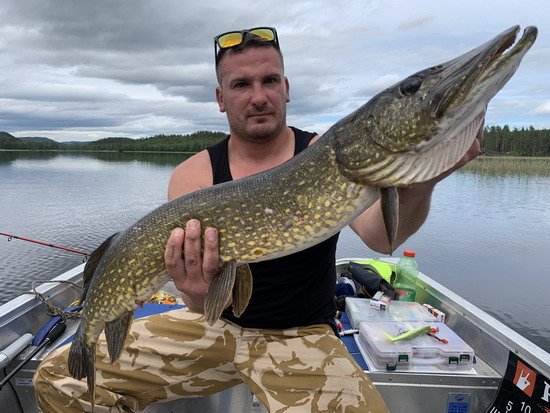 Vjecej a štika 94 cm Vjecej a štika 94 cm