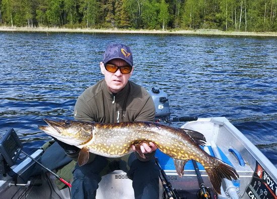 Helesjo - štika 100+ cm Helesjo - štika 100+ cm