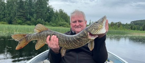 Štika 94 cm z Giman Štika 94 cm z Giman
