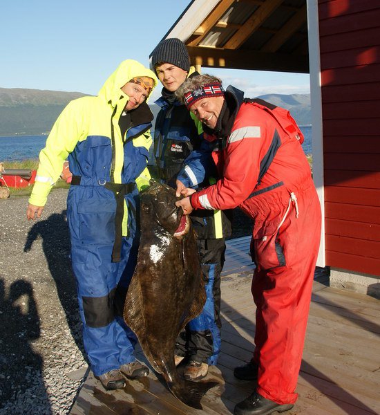 halibut 127 cm, 26 kg