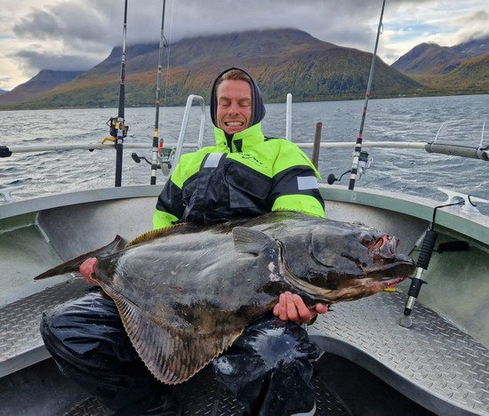 Larseng - halibut ze zářijového rybolovu