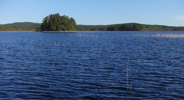 Sundholmen - jezero Backesjon a rakosim zarostle zatoky Sundholmen - jezero Backesjon a rakosim zarostle zatoky