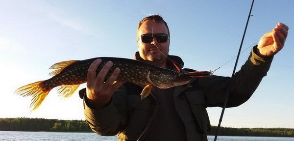 jezero Kyrksjon - obvykla velikost stik