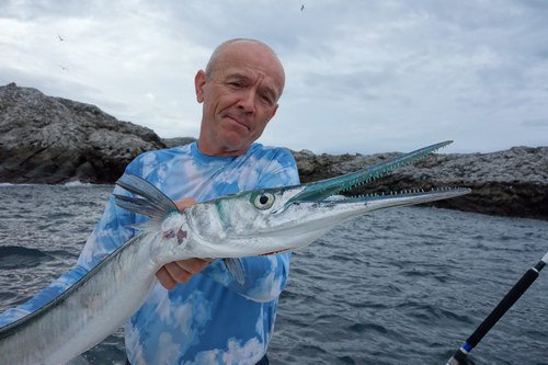 jehlice ulovena na stickbait jehlice ulovena na stickbait