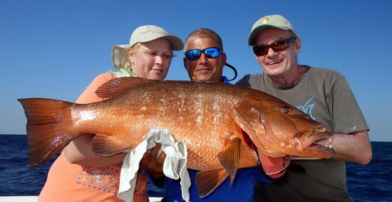 chnapal - cubera snapper 93 cm uloveny na popp