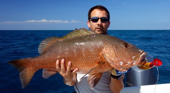 chnapal - cubera snapper 81 cm uloveny na popp