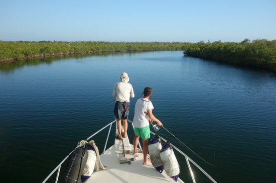 lov tarponu - privlac v mangrovech