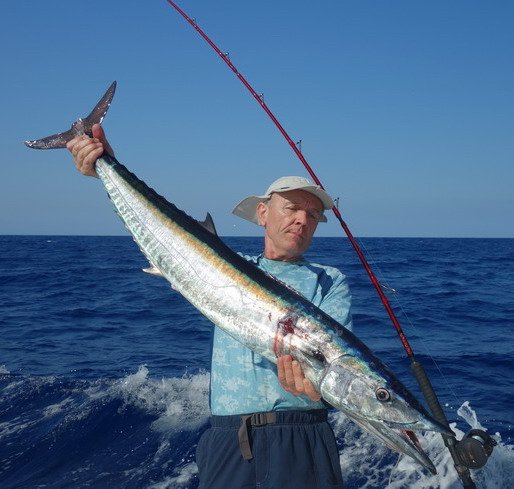 wahoo 115 cm - uloveno na trolling