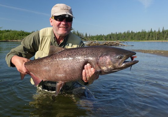 losos cavyca - king salmon 90 cm uloveny na streamer