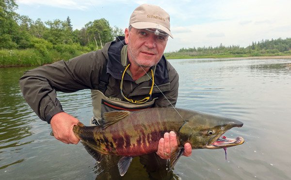 losos keta - chum 74 cm uloveny na streamer losos keta - chum 74 cm uloveny na streamer