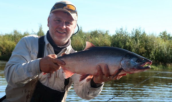 losos kisuc - coho - silver, mlicak losos kisuc - coho - silver, mlicak
