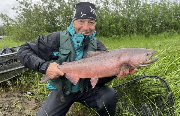 losos cavyca - king salmon losos cavyca - king salmon