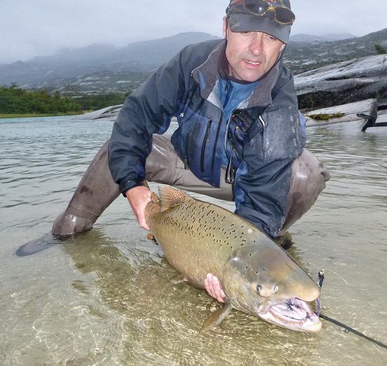 king - losos cavyca uloveny na umelou musku king - losos cavyca uloveny na umelou musku