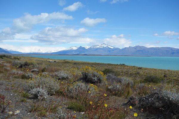 jezero Lago Argentino