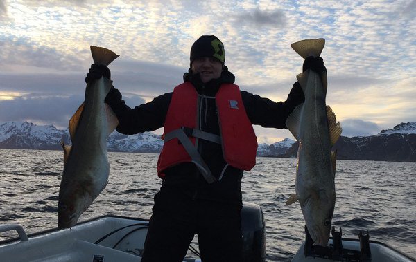 breznovy lov tresek - skrei breznovy lov tresek - skrei