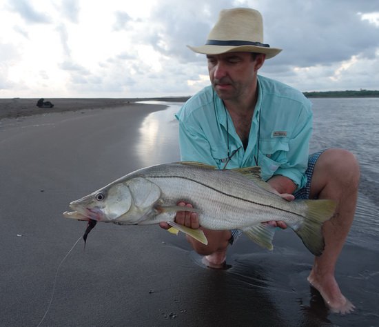 robalo - snook 98 cm