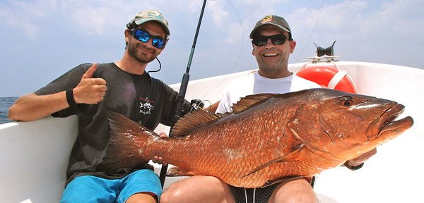 chnapal - cubera snapper 35 kg uloveny na hladinovou nastrahu