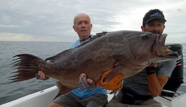 kanic 131 cm (cca 30 kg) uloveny na jig kanic 131 cm (cca 30 kg) uloveny na jig
