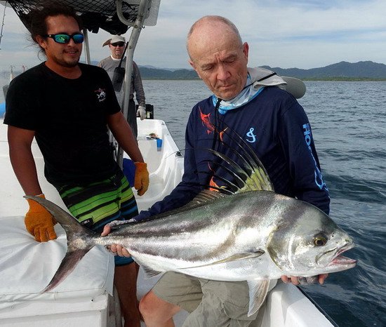 kohoutovec - rooster 112 cm uloveny na strickbait kohoutovec - rooster 112 cm uloveny na strickbait